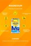 Expert Magnesium 60 Capsules X 2 Pieces - 6