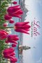 Flowers of Turkey Themed Postcard Set (10X15 cm 13 Pieces)