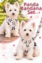 Adjustable Scarf, Chest Harness and Travel Strap Set of 3