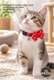 10 Pieces of Bow Tie Cat Collars – Adjustable Collar with Bell, Bow Tie Collar and Cat Collar Assorted Patterns