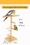 Bird Training Stand Wooden Play and Activity Stand with 4 Perches 61 cm - 5
