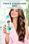 Anti Hair Loss Shampoo 450 ml X 2 Bottles - 2