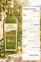 D'Olive Nourishing Repair Care Shampoo 400 ml X 4 Bottles - 4