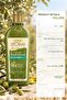 D'Olive Nourishing Volumizing Shampoo 400 ml X 12 Bottles - 4