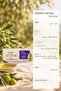 D'Olive Olive Oil Repairing Intensive Care Cream 20 ml X 12 Packs - 4