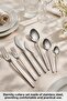 Eternity 316 Premium 84 Piece Cutlery Set for 12 People, Boxed Platinum - 3