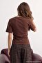 Ecru-Brown 2-Piece Fitted/Fitted Short Sleeve Stretch Knitted T-Shirt Twoss26Ts00319 - 7