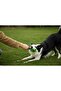 Interactive Latex Squeaky Dog Chew Toy,Durable Natural Rubber Toy for Aggressive Chewers,Green - 5