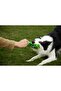 Interactive Latex Squeaky Dog Chew Toy,Durable Natural Rubber Toy for Aggressive Chewers,Green - 3