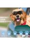 Dog Goggles for Small to Medium Breeds,UV Dog Sunglasses,Windproof and Dustproof Pet Eyewear with Adjustable Straps - 5