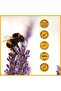 Anti-Colic Baby Foam Shampoo 100% Natural Organic Chamomile Lavender Paraben-Free Vegan - 5