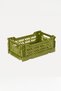 261710   Minibox Olive Foldable Case - 4