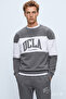 Archer Dark Gray Crew Neck Embroidered Loose Fit Men's Sweatshirt