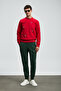 Beta Men's Sweatpants Grass Green - 5