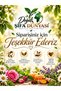 Natural Pumpkin Fiber Soap Pine Juniper - 4
