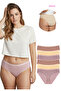 1008 Jacquard Elastic Bato Women's Pack of 6 Panties