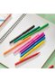 18 COLORED CRAYONS - 3