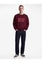 Three-Thread Raised Cotton Comfortable Fit Crew Neck Printed Sweatshirt