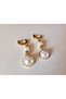 Money, Luck, and Success Steel Earrings - 2