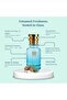 Oil-Based Perfume Women & Men – Impression of Abraaj – Alcohol-Free, 10+ Hr Long-Lasting Woody Chypre Oriental Scent with Notes of Bergamot, Red Rose, Jasmine & Oud (30 ML) - 4