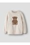 Strickpullover Regular Fit