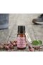 Dr. Herbs 100% Pure Rose Oil 10 ml - 4
