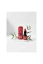 Bold Colors Lipstick |   Lipstick Bold Color All-Day