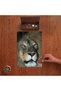Close-Up of a Male Lion Design 240 Piece Wooden Puzzle in a Wooden Box Pd00594