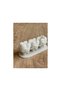 Dental Clinic Business Card Holder – Dental-Themed Business Card and Desktop Card Holder Stand - 5
