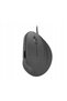 Mouse PIAVO - 2