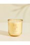 Amber Relax Scented Jar Candle 240g