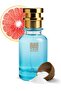 Oil-Based Perfume for Women & Men – Impression of 40 Knotz – Marine Woody Blend with Notes of Sea Salt, Amber Woods & Musk – Alcohol-Free – Long Lasting 10+ Hours – Unisex (100 ML)