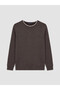 Lcwaikiki Classic Brown Crew Neck Men's Sweatshirt - 5