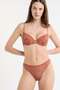 Bra No. 4 - The Lightly Lined Demi Bra - 4