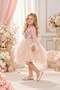 Sequin Embroidered Tulle Sleeves Feather Detailed Layered Tulle Bowknot Girls' Evening Dress - 4