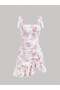 Rochie, mix culori