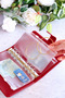 Red Mirrored Savings Agenda - Budget Planner Wallet - Silver Mechanism - 3