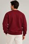Men's Regular Fit Crew Neck Basic Plain 3 Thread Sweatshirt - 3