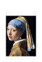 1000 Piece Jigsaw Puzzle - Girl with Pearl Earring 1213 - 2