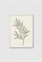 Olive Branch Drawing White Wood Framed Mdf Painting - Botanical Line Art Living Room Decor Huhu3289 - Single Painting White Frame - 2