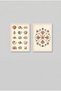 2-Piece Seashell and Starfish White Wooden Framed Mdf Bathroom Painting Set Huhu3271 - Double Painting Set White Frame - 2