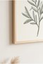 Olive Branch Drawing Wooden Framed Mdf Painting - Botanical Line Art Living Room Decor Huhu3289 - Single Painting Natural Wood Frame - 3