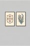 2-Piece Starfish and Seahorse Black Wooden Framed Mdf Bathroom Painting Set Huhu3272 - Double Painting Set Black Frame - 2