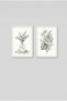 2-Piece Eucalyptus and Monstera White Wooden Framed Mdf Bathroom Painting Set Huhu3267 - Double Painting Set White Frame - 2