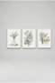 3-Piece Spa and Botanical White Wood Framed Mdf Painting Set - Bathroom Wall Decor Huhu3279 - Triple Painting Set White Frame - 2