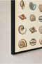 Sea Shells Collection Black Wooden Framed Mdf Painting - Sea and Coastal Bathroom Decor Huhu3255 - Single Painting Black Frame - 3