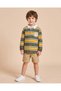 Boys Olive Striped Polo Shirt - 2