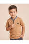 Boys Brown Graphic Polo Shirt