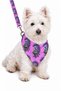 Adjustable Scarf, Chest Harness and Travel Strap Set of 3 - 2