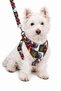 Adjustable Scarf, Chest Harness and Travel Strap Set of 3 - 2